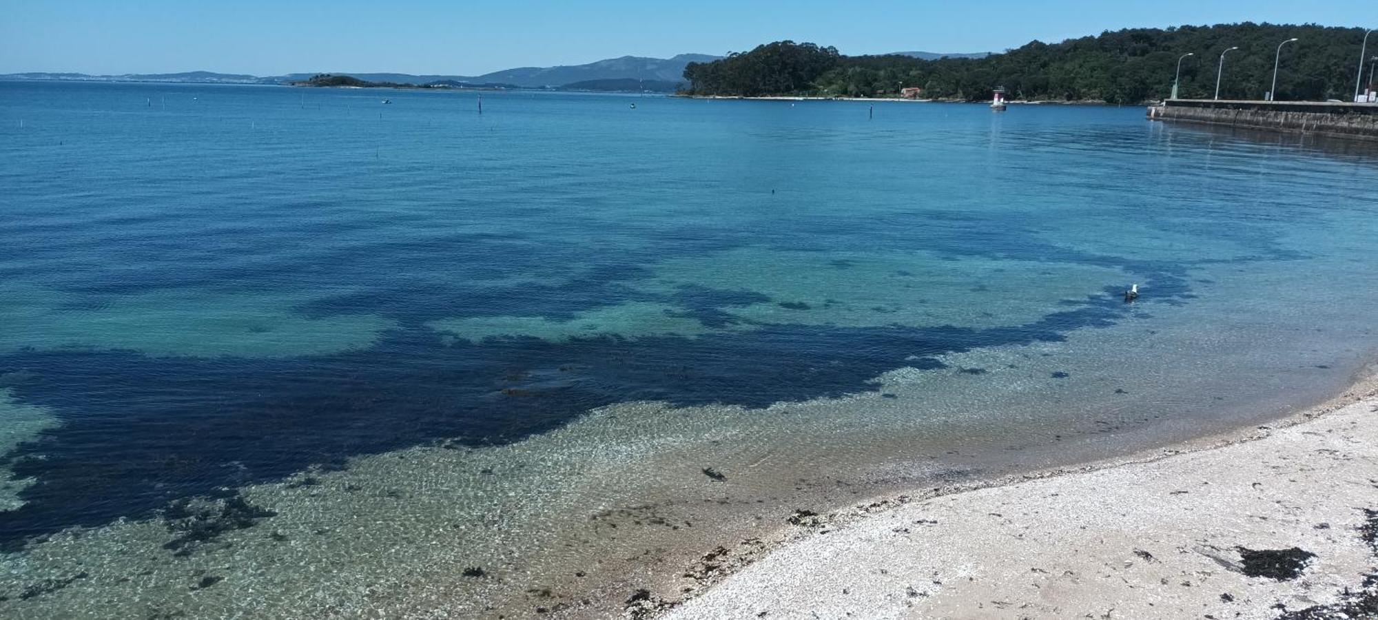 Plaza Loft Lejlighed Vilagarcia de Arousa Eksteriør billede